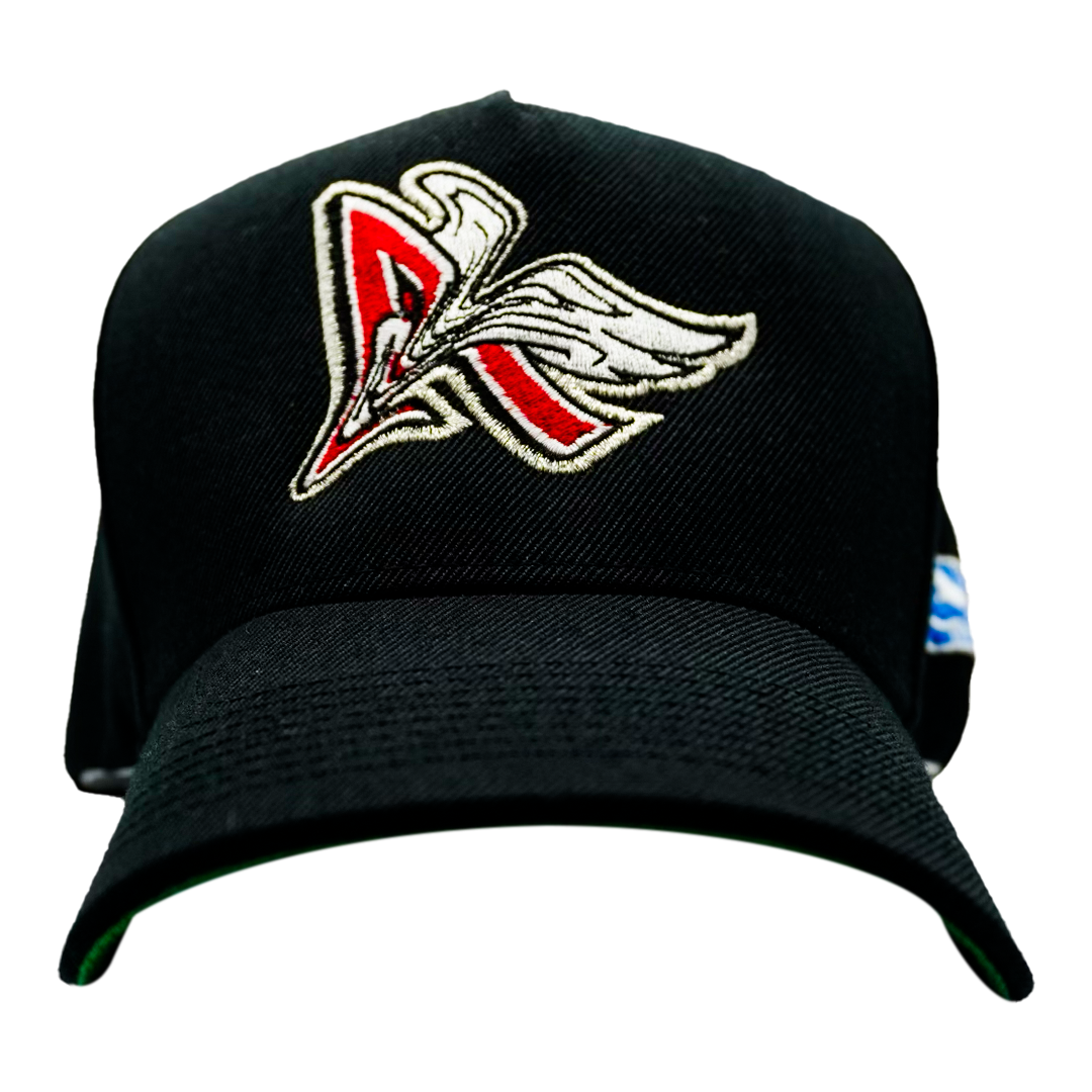 warp angel$ • blk