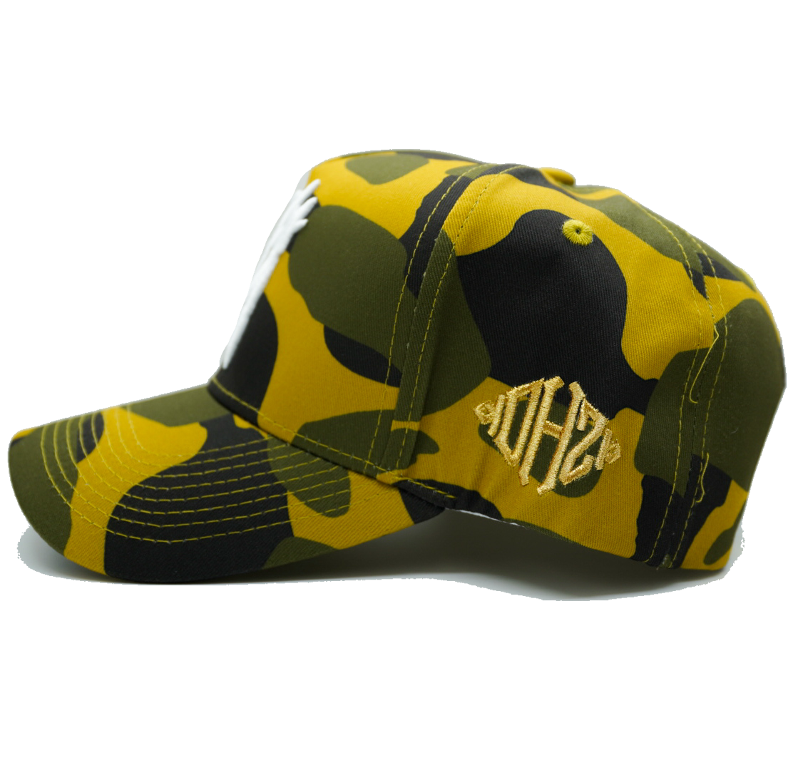 LAnarchy camo