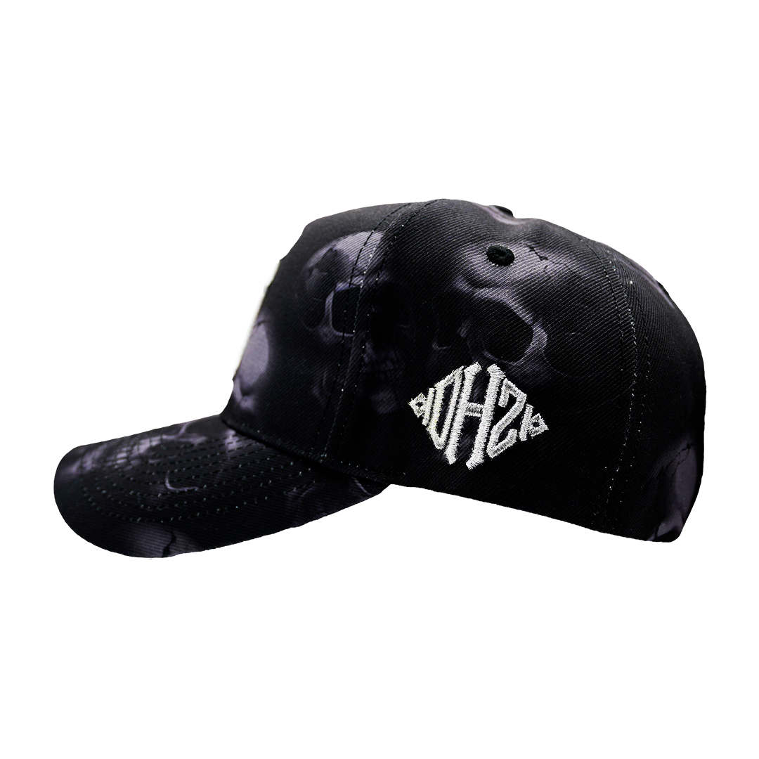 skull fitted